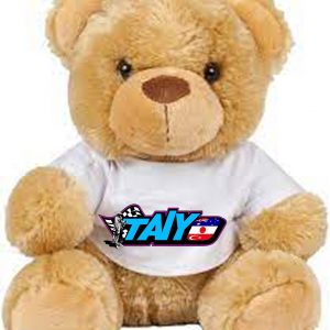 Teddy Bear